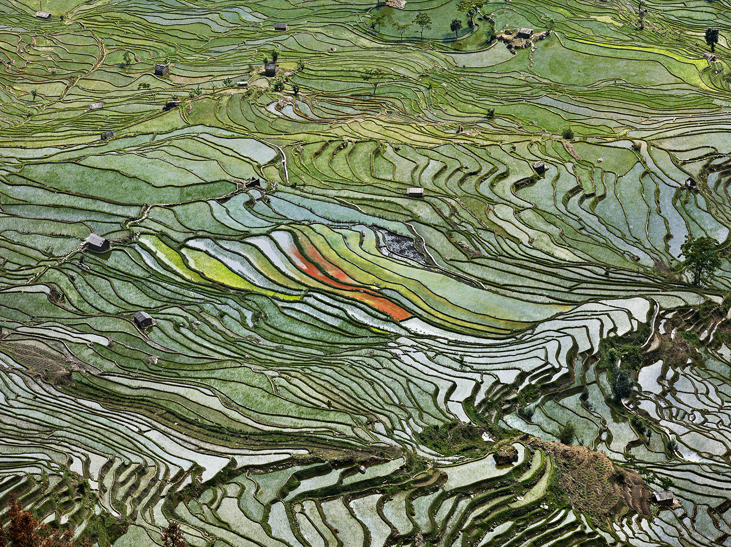 Edward Burtynsky – Art Works for Change