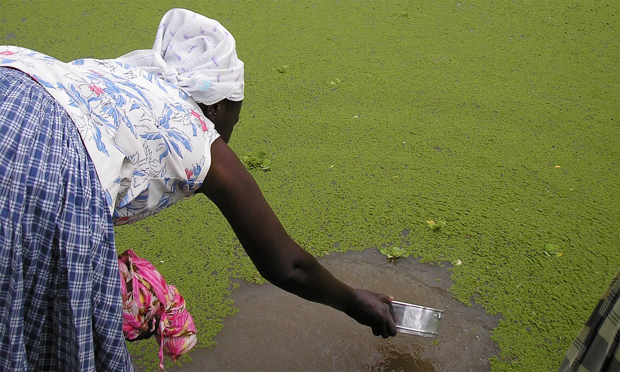 Poop Marginalia 4 ways to understand one of the world’s most overlooked problems