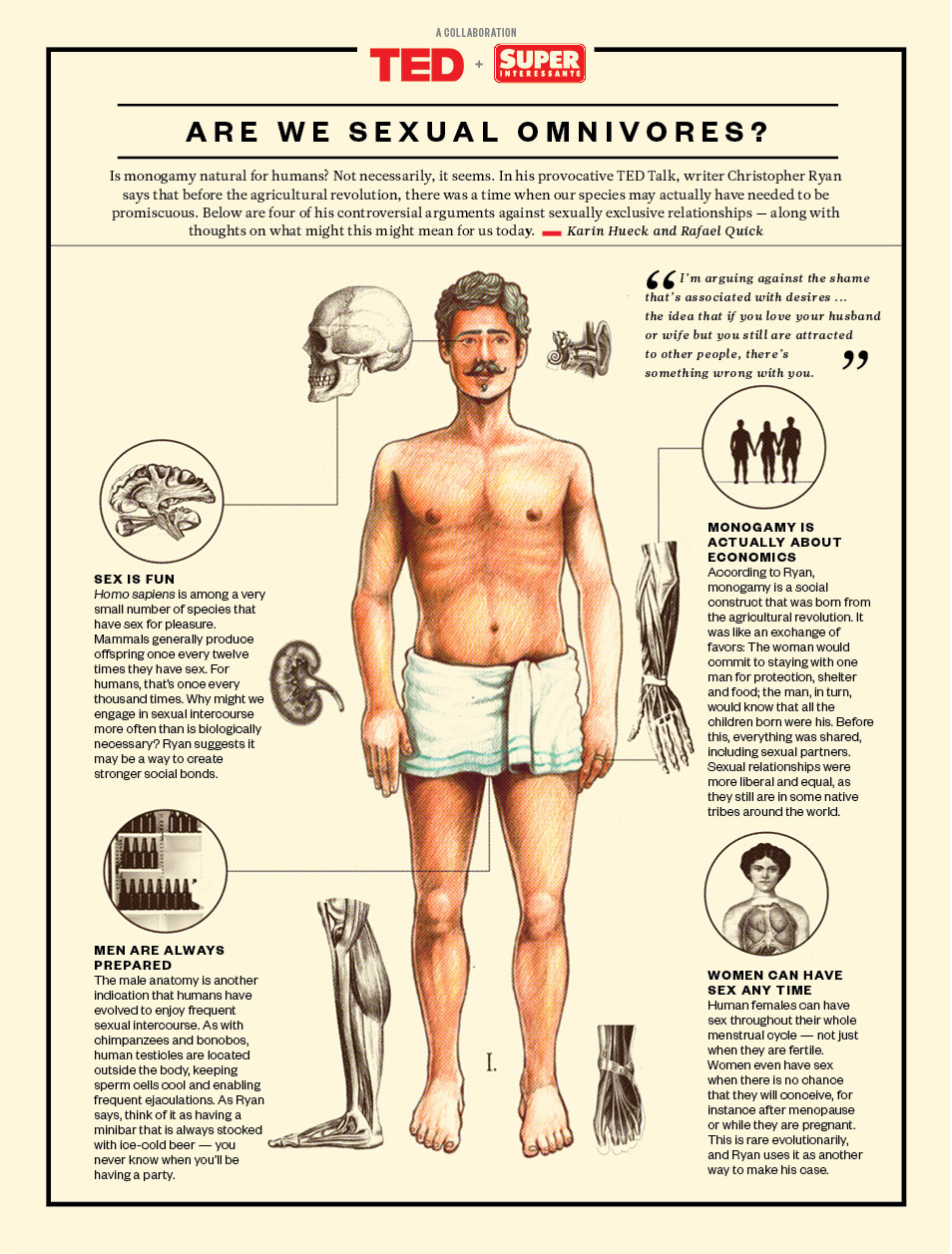 Are We Sexual Omnivores An Illustrated Idea 