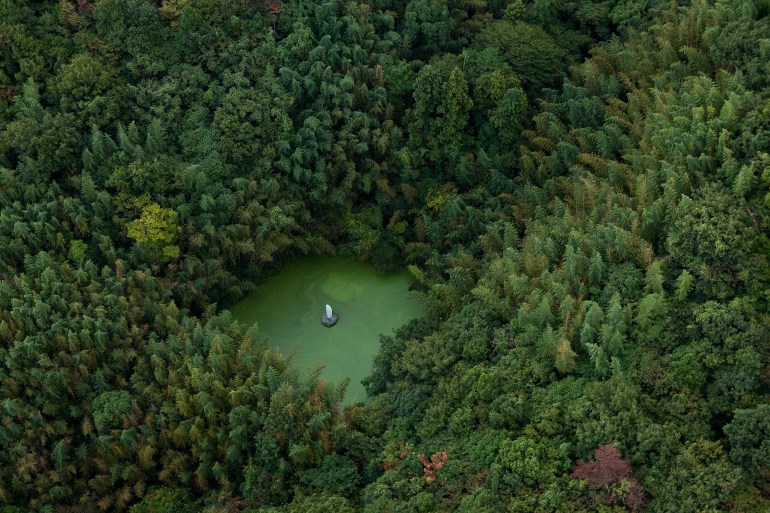 The Art of Stillness in the Japanese Wilderness. Photo: Iwan Baan