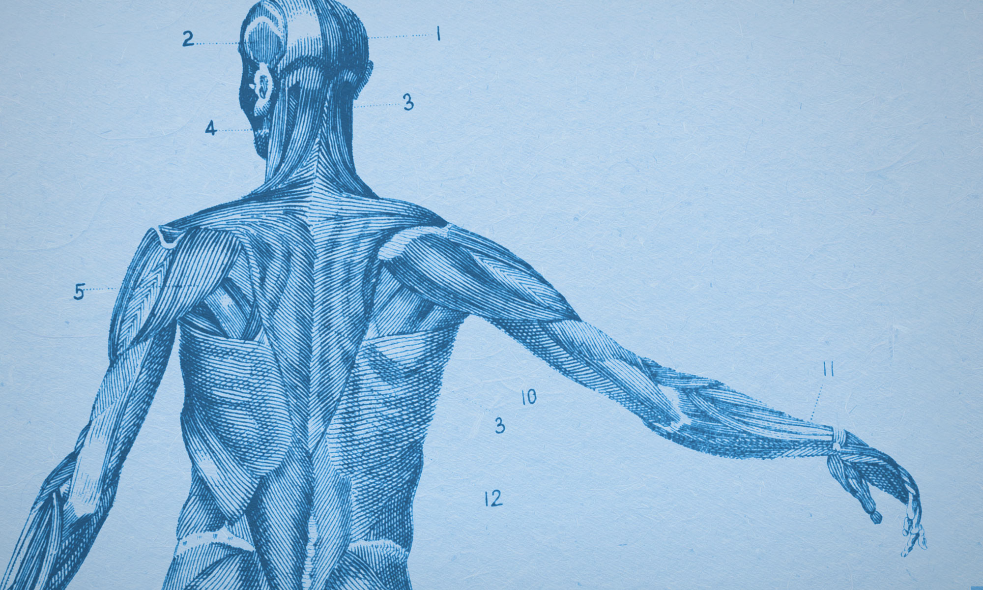 the-most-critical-factor-in-medicine-human-bias