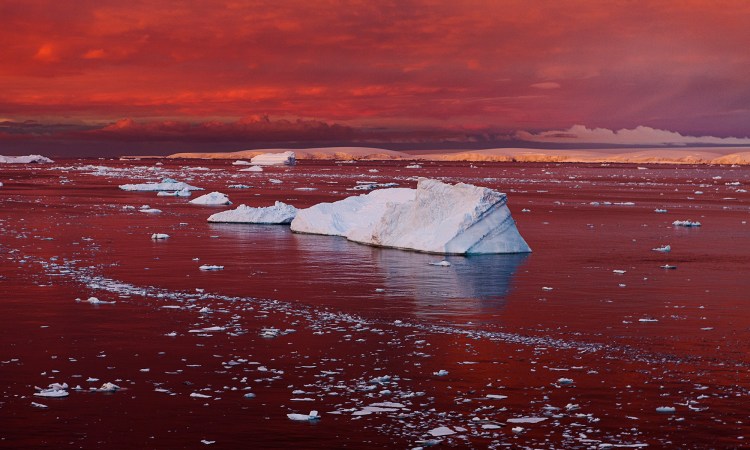 Why what's happening in Antarctica won't stay in Antarctica |