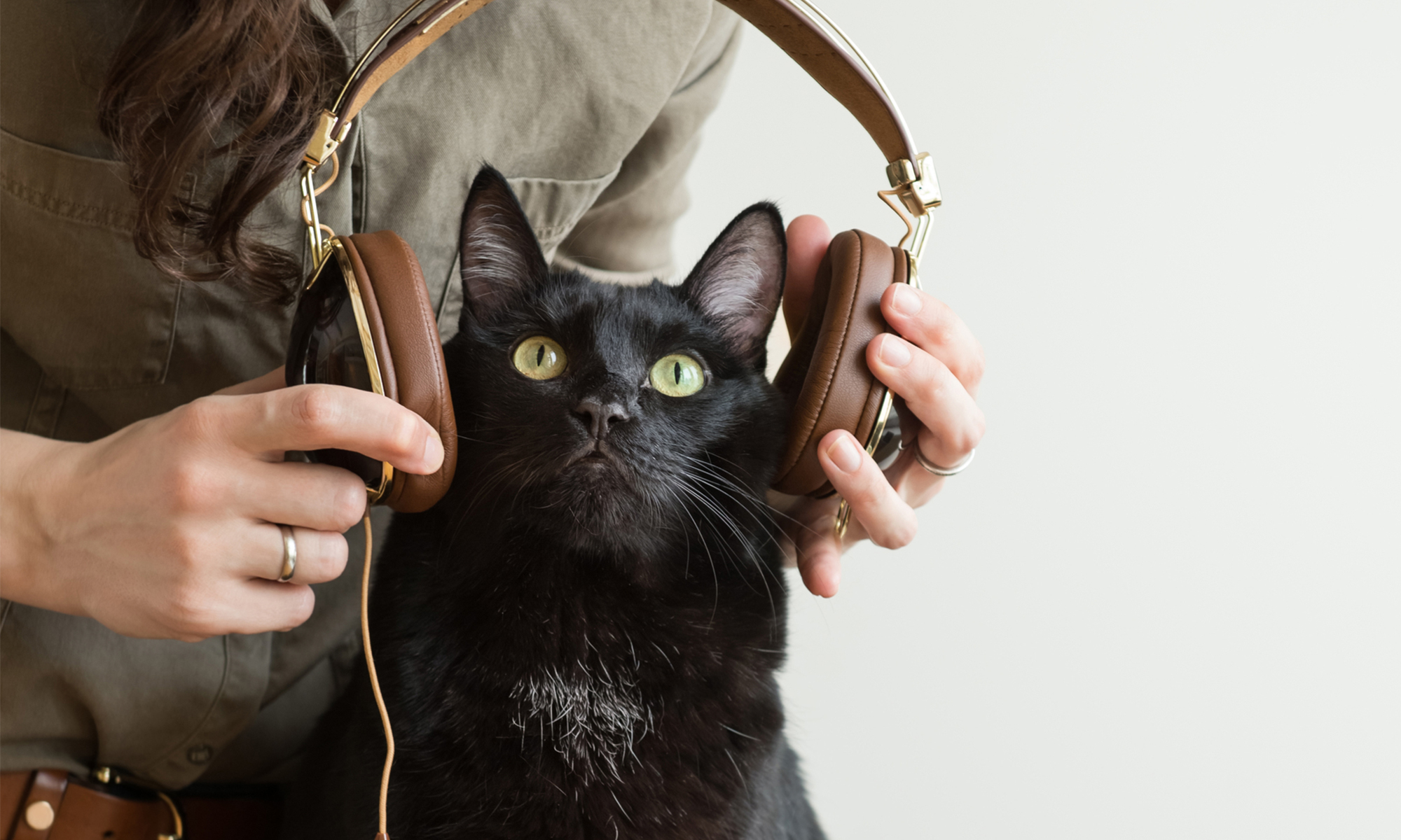 Why I make music for cats (and monkeys and dogs and horses) |