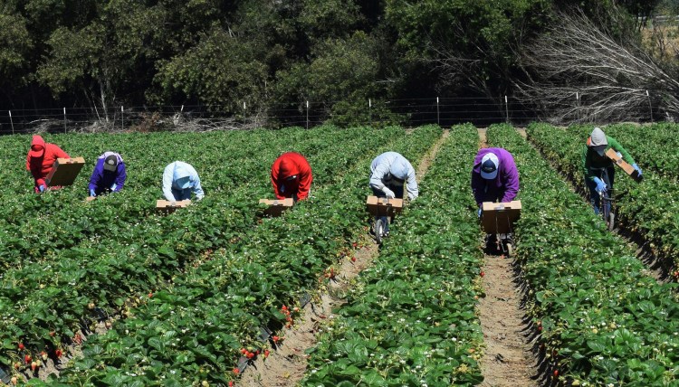 Are the workers behind your food treated fairly? How one innovative program  is helping improve conditions |