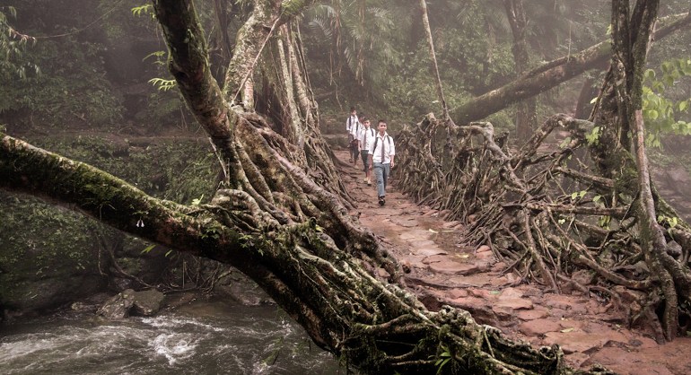 Photo gallery: How Indigenous natural technologies can help us